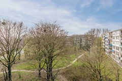 20250325, Gulikstraat 152, Venlo, Engels Stikkelbroeck (37 of 44).jpg