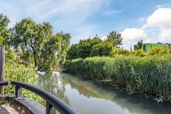 20250617, Morion 4, Venlo, Engels Stikkelbroeck  (55 of 55).jpg