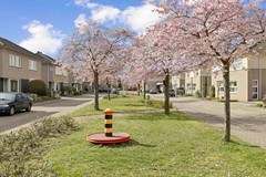 Boskampstraat 25, Tegelen - 52 - verkleind.jpg