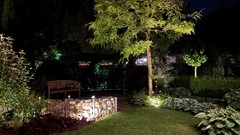IMG_6839.jpg
