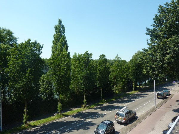 Medium property photo - Amsterdamsestraatweg 815BS, 3555 HK Utrecht