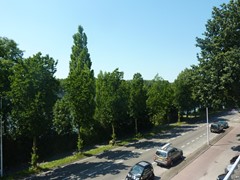 Nieuw in verhuur: Amsterdamsestraatweg 815BS, 3555 HK Utrecht