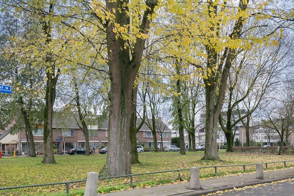 Medium property photo - Othellodreef 139, 3561 GV Utrecht