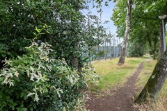 New for rent: Mendes Da Costalaan 2, 1251 NP Laren