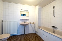 65.jpg