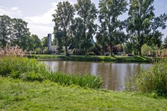 47.jpg