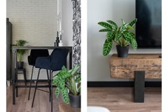 Onder optie:Sweelinckstraat 54, 2983 XK Ridderkerk - Foto