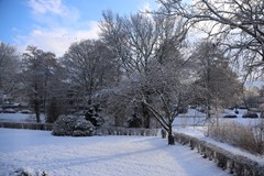 Nieuw in verkoop: Van Beethovenstraat 143, 2983 BT Ridderkerk