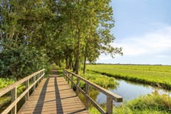 Leeghwaterstraat1052871pdSchoonhovenNL-40.jpg