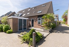 Pijlkruid 35 Oude Wetering (2 van 35).jpg