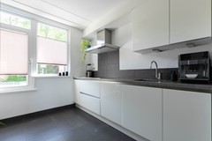 Pijlkruid 35 Oude Wetering (9 van 35).jpg