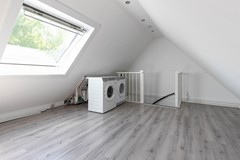 Pijlkruid 35 Oude Wetering (28 van 35).jpg