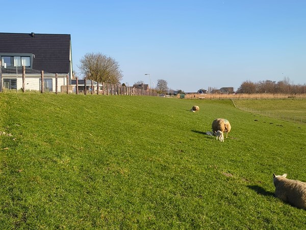 Medium property photo - Bilderdam 39A, 2451 CX Leimuiden