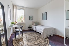 Wallenbergstraat 64 Hoofddorp-30.jpg