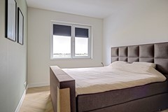 24_ROELOFARENDSVEEN_2371_KS_Lisdodde_3.jpg