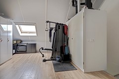 33_ROELOFARENDSVEEN_2371_KS_Lisdodde_3.jpg