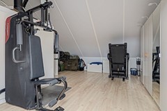 34_ROELOFARENDSVEEN_2371_KS_Lisdodde_3.jpg