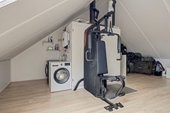 35_ROELOFARENDSVEEN_2371_KS_Lisdodde_3.jpg