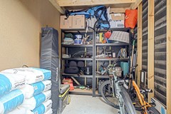 36_ROELOFARENDSVEEN_2371_KS_Lisdodde_3.jpg