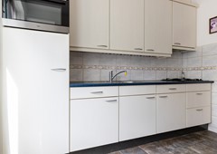 Aquamarijnstraat 11 Leiden-11.jpg
