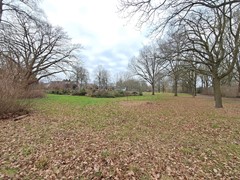 20260202_152347.jpg