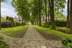 20260519, Willemstraat 34, Waalre, Johan van Boxtel Makelaardij (28 of 29).jpg