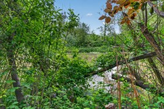 Oudaen 30, Eindhoven - 14.jpg