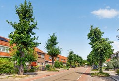 Prins Mauritsweg 1, Waalre-5.jpg