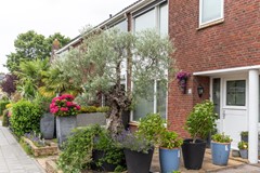 Te koop: Händelstraat 5, 1431ZC Aalsmeer