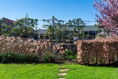 Koop: Oosteinderweg 301, 1432 AW Aalsmeer