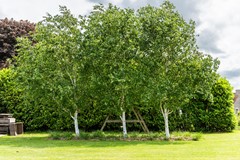 Nieuw in verkoop: Herenweg 29, 1433 GV Kudelstaart