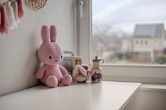 Nieuw in verkoop: Herman Broodstraat 13, 5384 LB Heesch