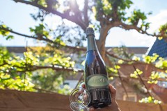 Cieweg 10, Castricum (33).JPG