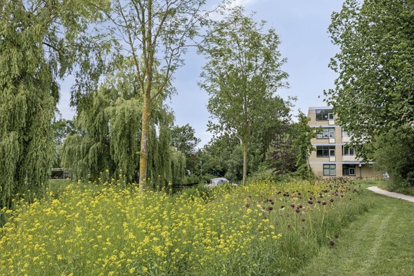 Medium property photo - Krokusstraat 3, 2015 AD Haarlem