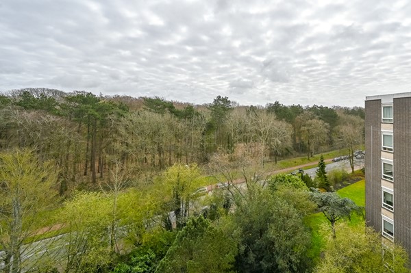 Medium property photo - Merwedeplantsoen 90, 2105 VN Heemstede