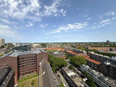 IMG_2506.JPEG