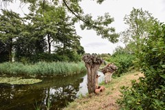Bingerden 17 Den Bosch-28.jpg