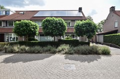 Goudplevier 29 Den Bosch-2.jpg