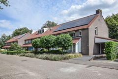 Goudplevier 29 Den Bosch-4.jpg