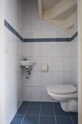 Goudplevier 29 Den Bosch-6.jpg