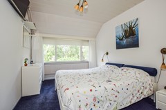 Goudplevier 29 Den Bosch-21.jpg
