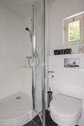 Goudplevier 29 Den Bosch-26.jpg