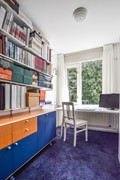 Goudplevier 29 Den Bosch-29.jpg