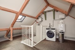 Goudplevier 29 Den Bosch-30.jpg