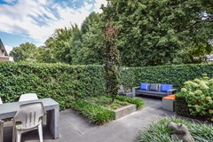 Goudplevier 29 Den Bosch-19.jpg