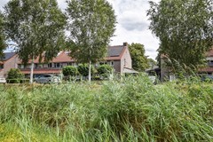 Goudplevier 29 Den Bosch-31.jpg