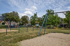 Goudplevier 29 Den Bosch-32.jpg