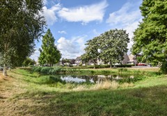 Goudplevier 29 Den Bosch-33.jpg