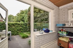 Goudplevier 29 Den Bosch-34.jpg