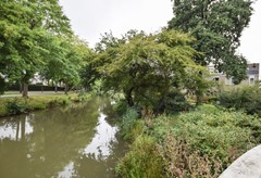 De Savornin Lohmanstraat 32 Den Bosch-36.jpg